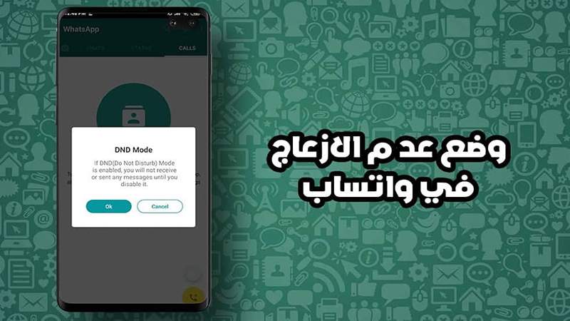 لا إزعاج بعد اليوم.. ميزة عدم الإزعاج تصل واتساب قريباً